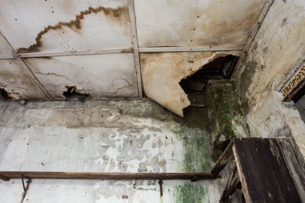 Water Damage Service in Suwanee