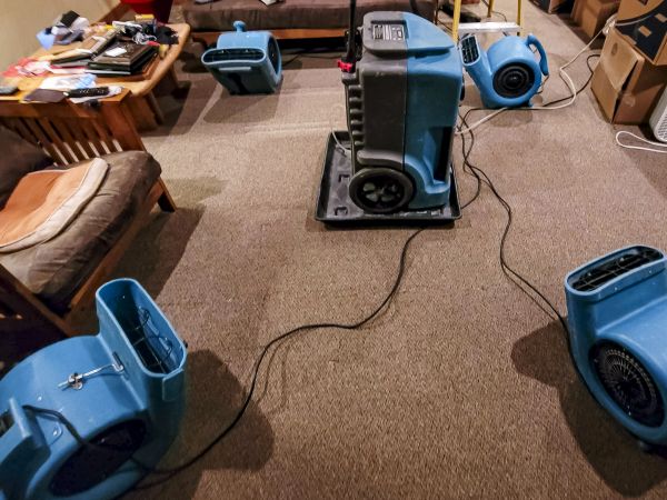 Flood Damage Recovery in Suwanee