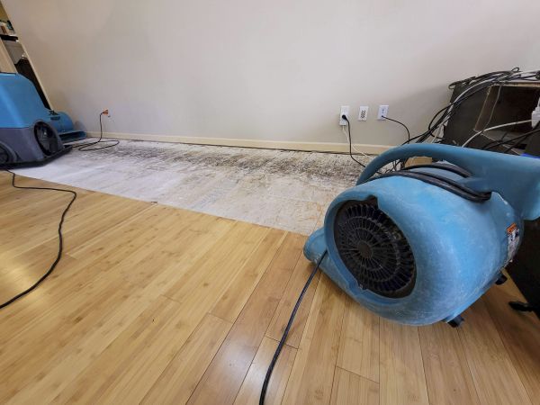 Water Damage Mitigation Service