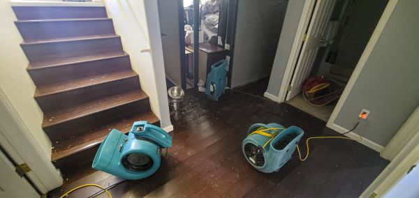 Water Damage Remediation in Suwanee