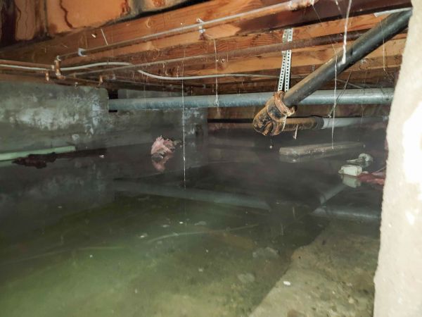 Water Mitigation Service in Suwanee