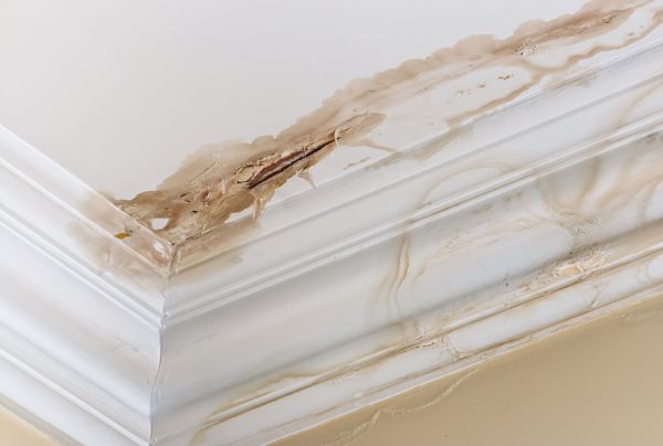 Water Damage Recovery in Suwanee