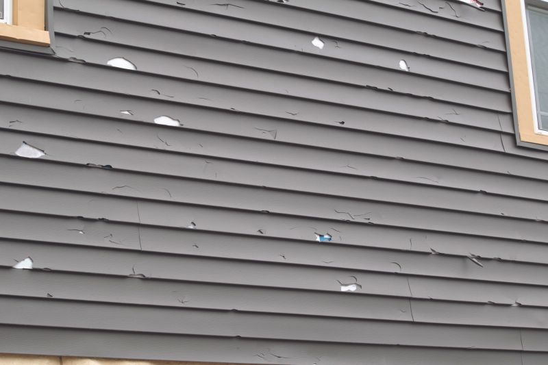 Siding and Exterior Damage