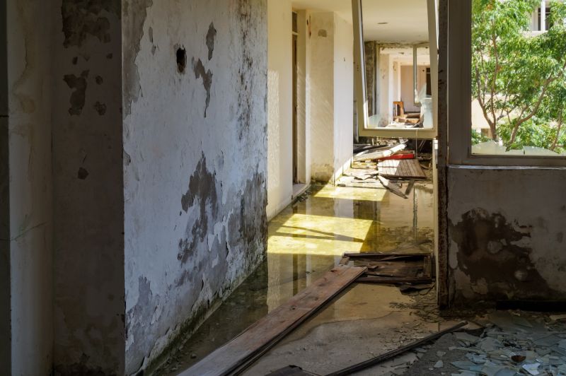 Water Intrusion and Interior Impact